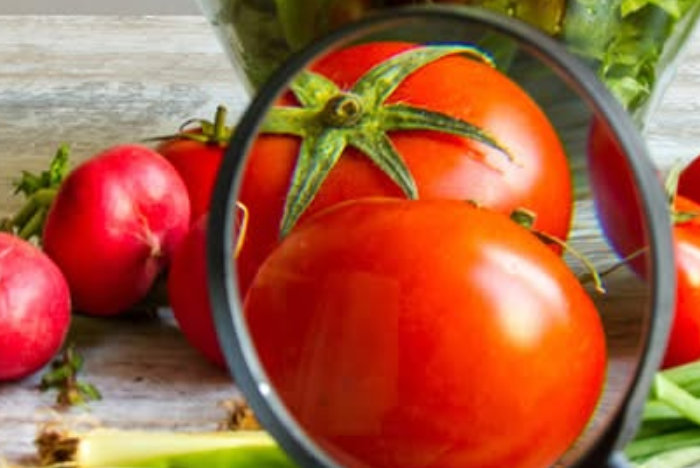 Alimentação, Nutrição e Hidratação em Contextos de Cuidados e Bem-Estar