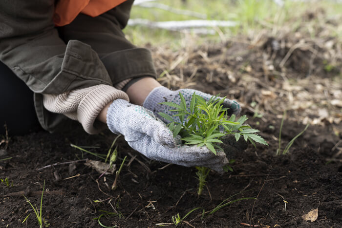 Técnico(a) de Sensibilização Ambiental - Zona Norte